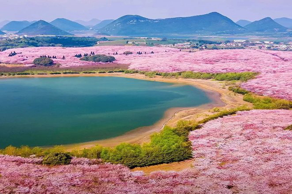 8H WONDERLAND GUIYANG 