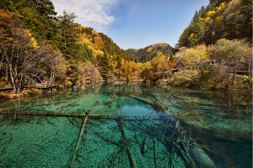 8D7N MAJESTIC CHENGDU JIUZHAIGOU8D7N MAJESTIC CHENGDU JIUZHAIGOU